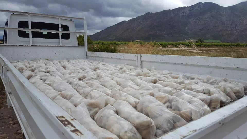 5 Ton Truck Fully Loaded